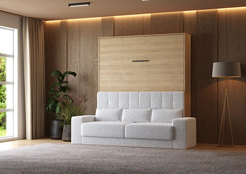 Murphy Beds with Sofa picture 11