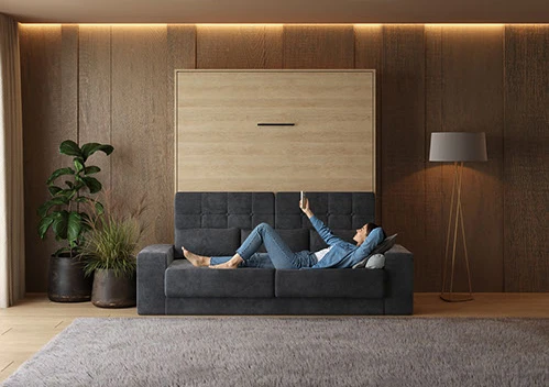 Murphy Beds with Sofa picture 9